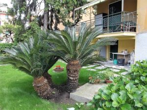 (rif.GRZ) Appartamento con giardino Santa Margherita Ligure